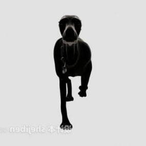 Black Fur Dog Animal 3d model