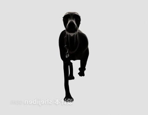 Black Fur Dog Animal