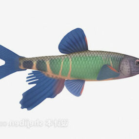 Mô hình 3d cá nhỏ màu xanh