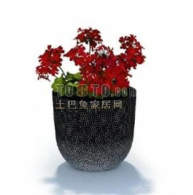 3D model rostliny v květináčích