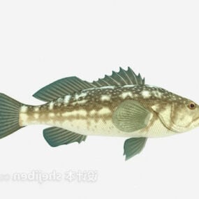 Hnědá ryba Sea Animal 3D model