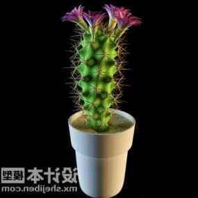 Arbre d'intérieur de plante en pot de cactus modèle 3D