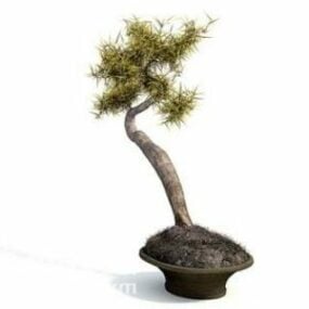 Modello 3d di pianta in vaso da interno bonsai cinese