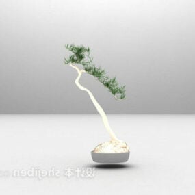 Plante chinoise en pot modèle 3D