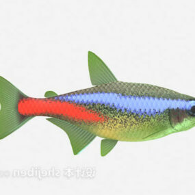 Barevný 3D model ryby