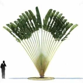 美丽的花园椰子树3d模型