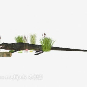 Crocodile modèle 3D