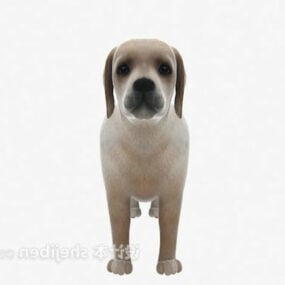 דגם תלת מימד של כלב חיות חמוד