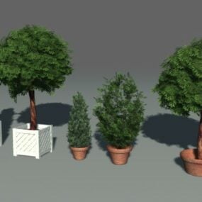 卡通榕树3d模型