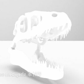 Dinosaur Head Skeleton 3d model