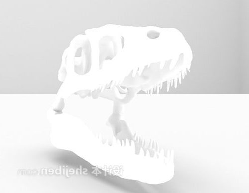 Скелет головы динозавра