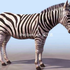 Cheval réaliste Animal Zebra Horse modèle 3D