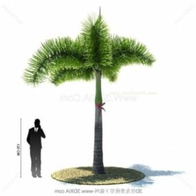 3D model rostliny palmy