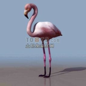3д модель животного фламинго с розовым мехом