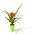 Foreign fine potted plants 13-5 sets of 3d model .