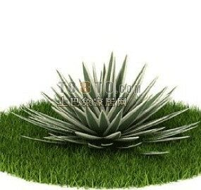 Växtbuskar på gräs 3d-modell