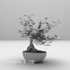 Leaf Bonsai Potted Plant 3d model