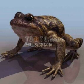 Frog Animal Realistic Style 3d-modell
