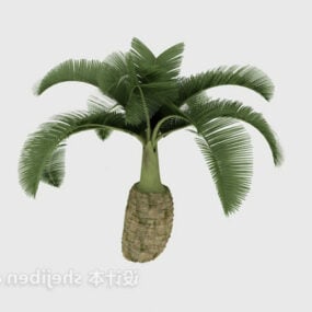 Modelo 3D de palmeira de jardim realista