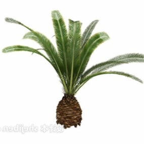 3D model zahradní palmy