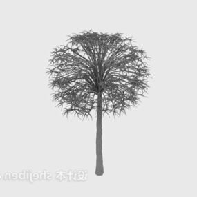 Model 1d V3 Berbentuk Bola Pohon Taman