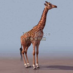 3д модель стоящего дикого животного жирафа