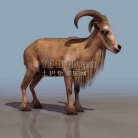 Modello 3d realistico dell'animale di capra maschio del corno