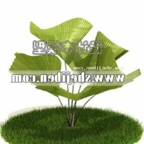 Modelo 3d de palmeira de folhas grandes