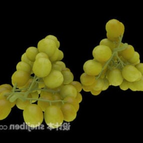 Modelo 3d de fruta de uva verde