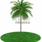 Zelený kokosový strom
