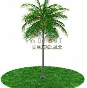 3д модель зеленой кокосовой пальмы