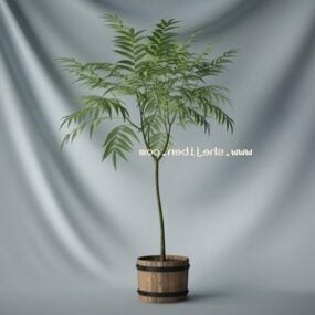 Grünes Blatt-Topfpflanze-3D-Modell