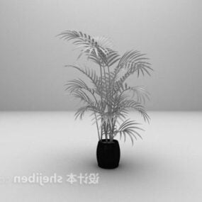 Indoor Nature Green Plant Potted 3d model