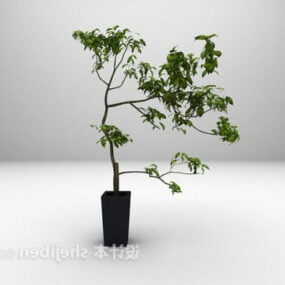 Modello 3d in vaso per piante da interno per ufficio