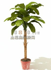 Zwei-Baum-Pflanzen-Set 3D-Modell
