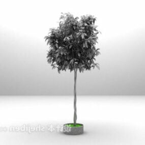 نموذج داخلي لنبات بونساي ثلاثي الأبعاد