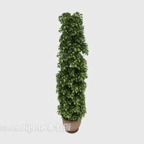 屋内大型植物鉢植え3Dモデル