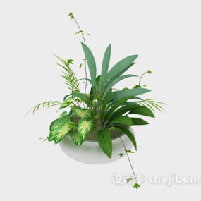 Indoor House Plant With Pot 3d model