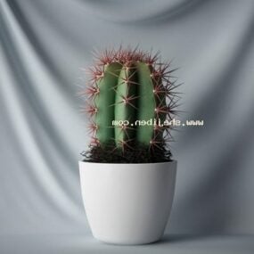 Modello 3d di pianta di cactus in vaso per interni
