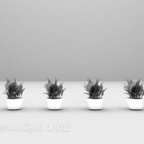 Modello 3d piccolo bonsai da interno