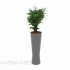 Interior Green Plant Grey Potted