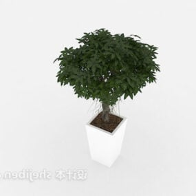 Innendekoratives Natur-Blumentopf-3D-Modell