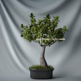 ऊंचे खजूर के पेड़ Lowpoly 3d मॉडल