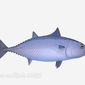 Model 3d Ikan Lemak Laut