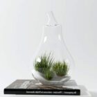 Nowoczesny szklany wazon z rośliną w środku