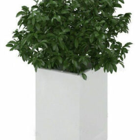 Rectangular Potted Plant 3d model