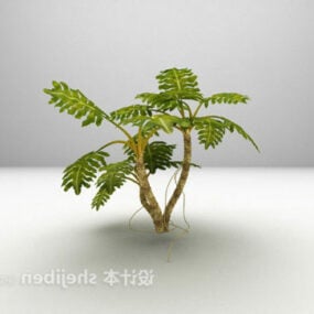 3д модель уличного зеленого растения с большим листом