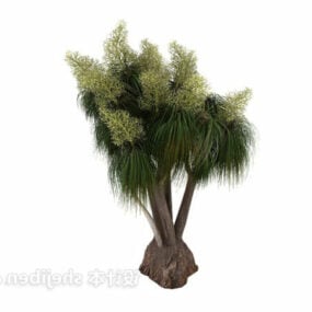 Outdoor Palm Old Tree 3d model