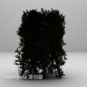 Haie de plantes vertes d'extérieur modèle 3D