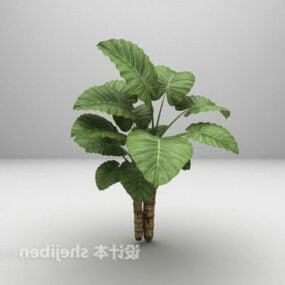 Modelo 3d de planta de folhas grandes ao ar livre